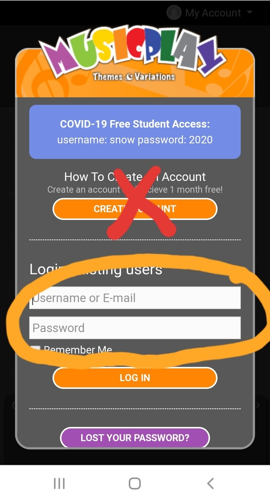 MusicPlay Access