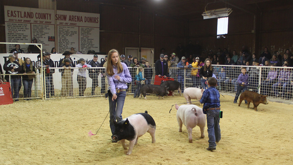 Revised Eastland County Livestock Show Schedule