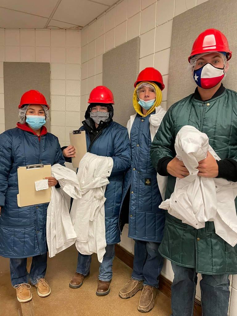 FFA Meats Evaluation